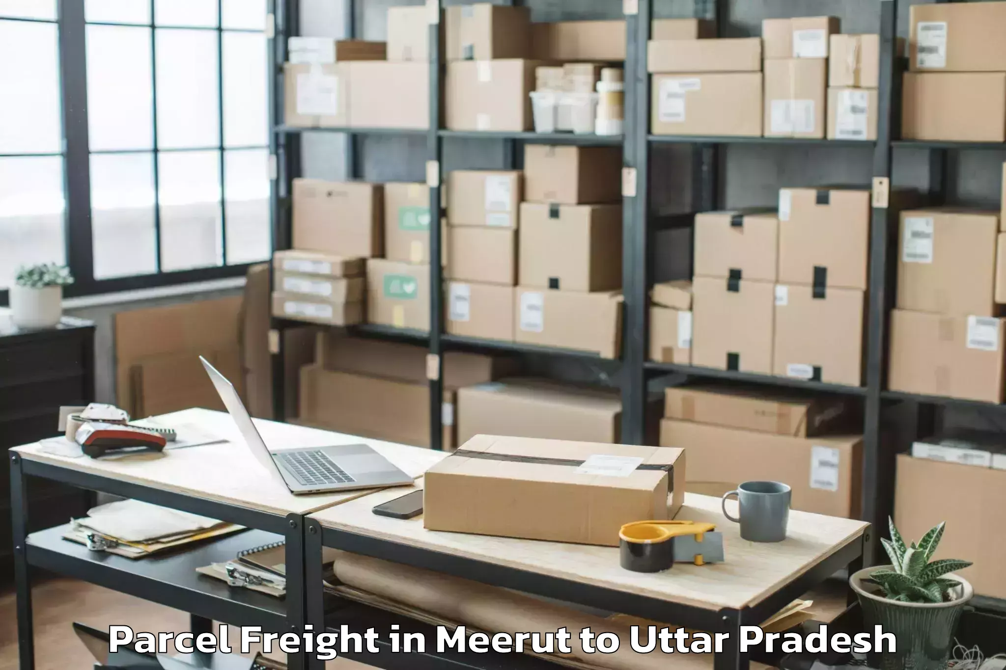 Meerut to Prayagraj Airport Ixd Parcel Freight